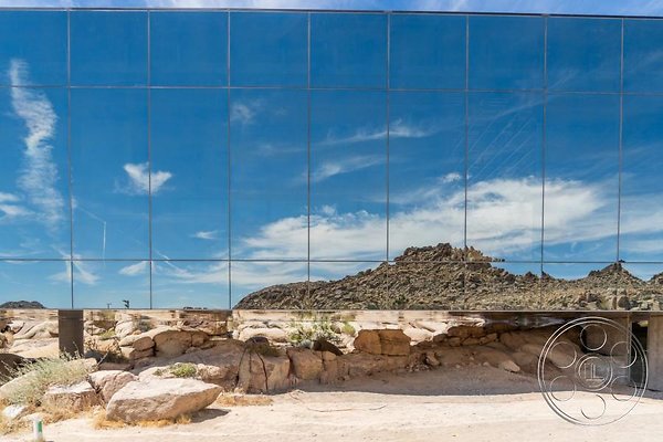 joshua-tree-9 image 12