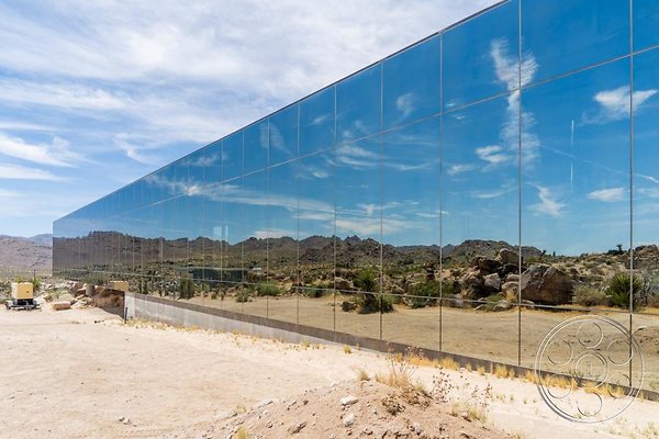 joshua-tree-9 image 14