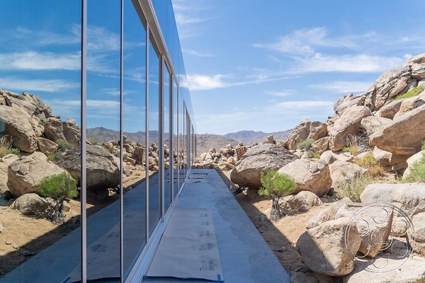 joshua-tree-9 image 11