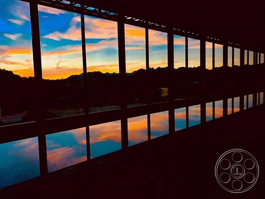 joshua-tree-9 image 37