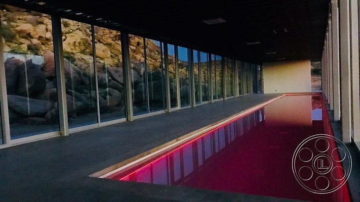 joshua-tree-9 image 29