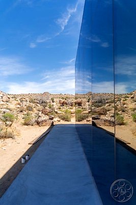 joshua-tree-9 image 10