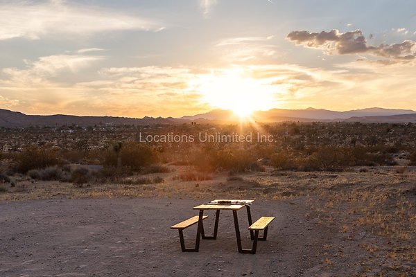 85-The CoHost 3D Prinetd Studios-Large