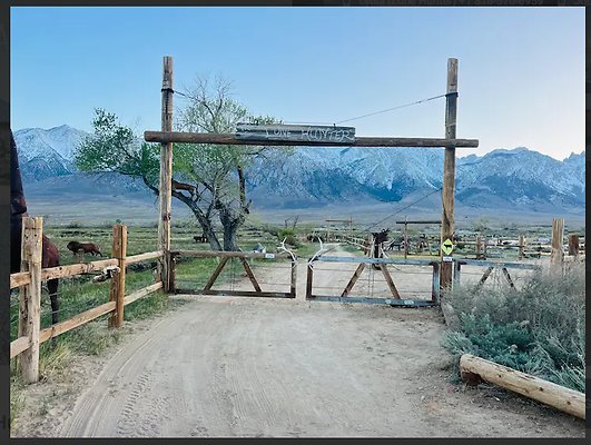 Screenshot 2025-08-31 at 3.14.34 PM