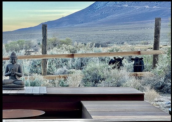 Screenshot 2025-08-31 at 3.11.01 PM