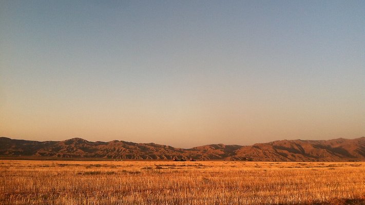 Newsome+looking+north-3-Aug2020-JF