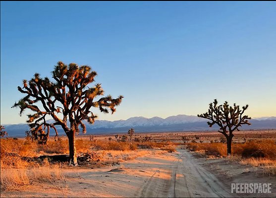 Screenshot 2025-08-27 at 5.24.49 PM