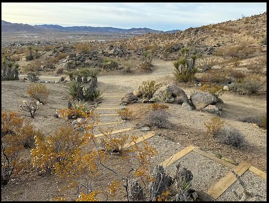 Screenshot 2025-08-29 at 7.02.31 AM