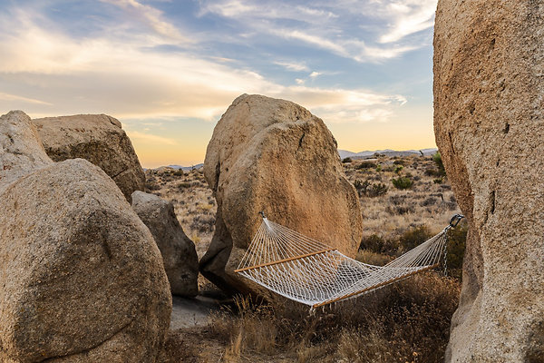 Fieldtrip Whispers Rock 026-Large