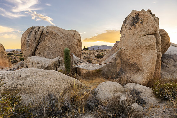 Fieldtrip Whispers Rock 024-Large