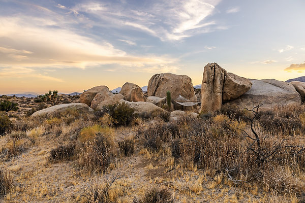 Fieldtrip Whispers Rock 027-Large