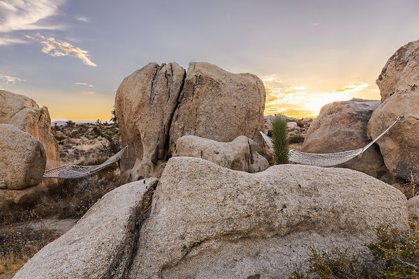Fieldtrip Whispers Rock 025-Large