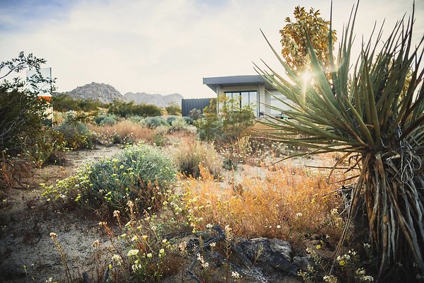 b4d8fa22-44a7-4061-8875-2b40b1d40a5a