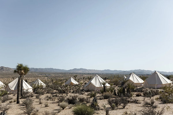 A+Night+in+Joshua+Tree-A+Night+in+Joshua+Tree-0029