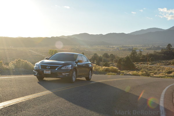 MDR 0065 x MDR 0065 x