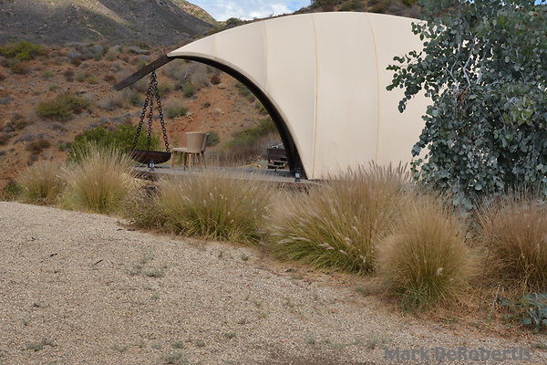 MDR 3372 - Grasses Removeable