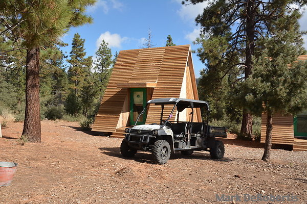 MDR 4083 x MDR 4083 x