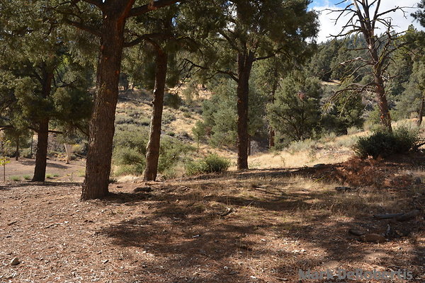 MDR 3993 - 945am MDR 3993 - 945am