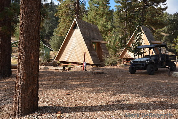 MDR 3885 - 930am MDR 3885 - 930am