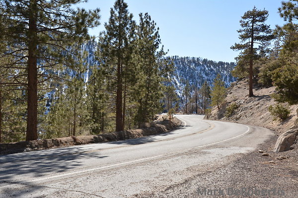 Crest 56.73 MDR 4086 - 200deg