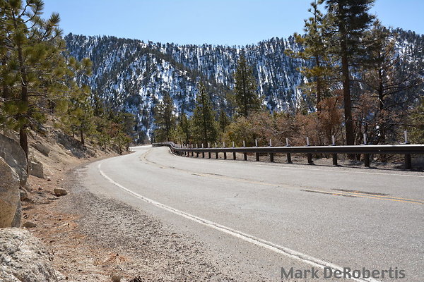 Crest 56.14 A MDR 3923