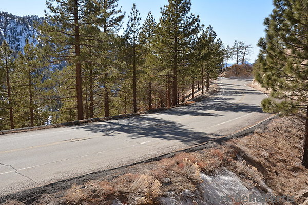 Crest 57.00 A MDR 4153