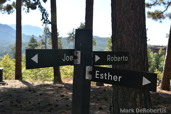 MDR 6452 - Need All 3 Cabins + Ginger