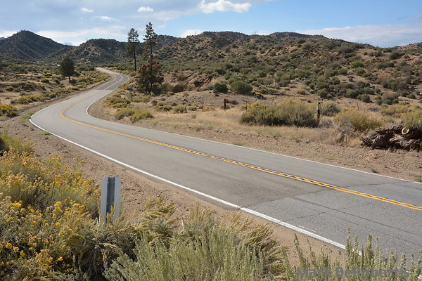 MDR 4452 x MDR 4452 x