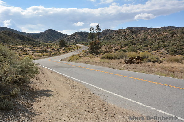 MDR 4438 - 270deg MDR 4438 - 270deg