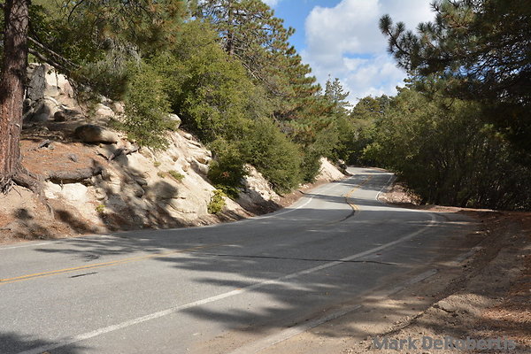 MDR 5272 - 260deg MDR 5272 - 260deg