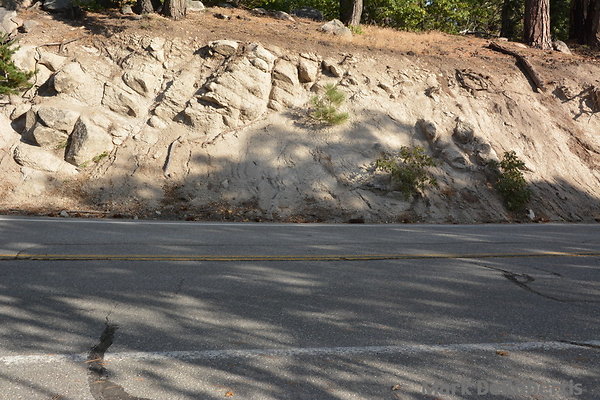 MDR 5466 - 35mm MDR 5466 - 35mm