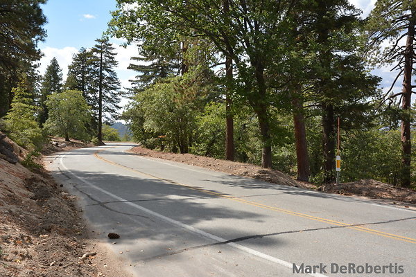 MDR 5155 x MDR 5155 x