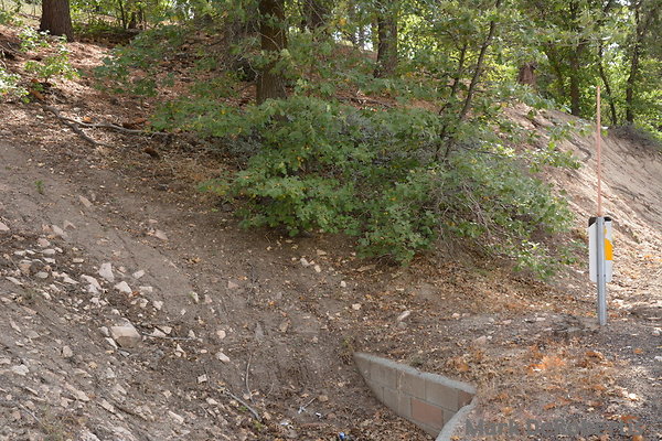 MDR 5137 - 35mm MDR 5137 - 35mm