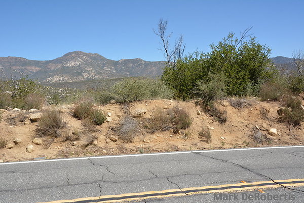 MDR 6812 - 35mm MDR 6812 - 35mm