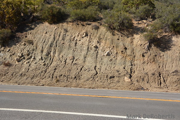 MDR 7317 - 330pm MDR 7317 - 330pm