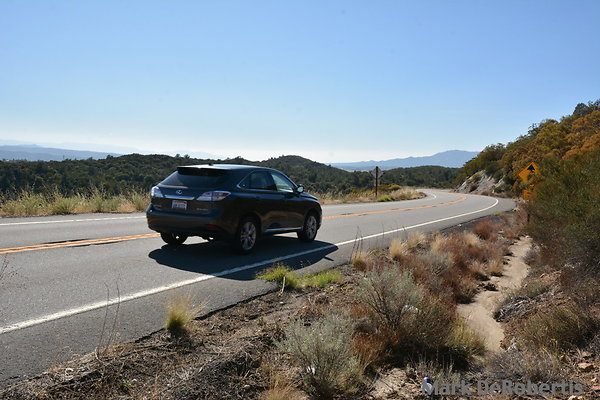 MDR 7343 x MDR 7343 x