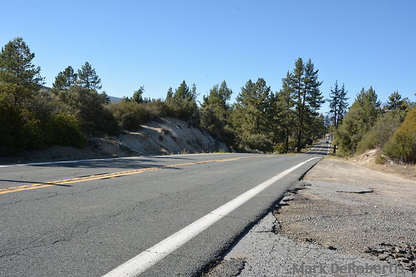 MDR 7431 - 320deg MDR 7431 - 320deg