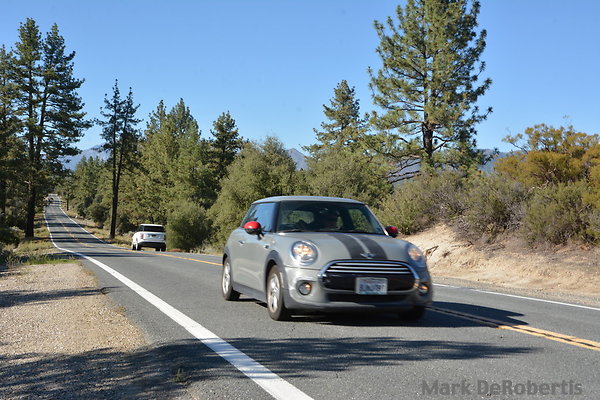 MDR 7449 x MDR 7449 x