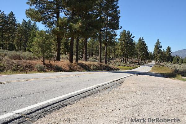 MDR 7144 - 300deg MDR 7144 - 300deg