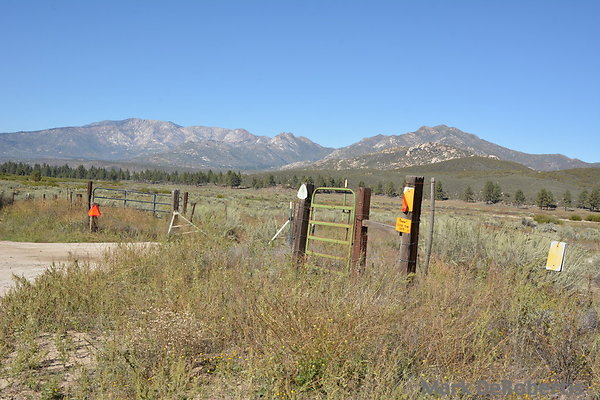 MDR 7145 - 245pm MDR 7145 - 245pm