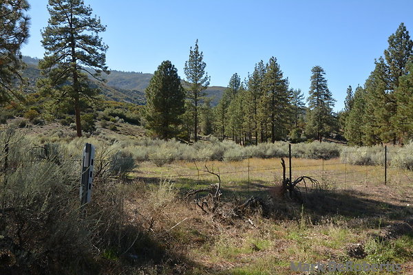 MDR 7239 - 35mm MDR 7239 - 35mm