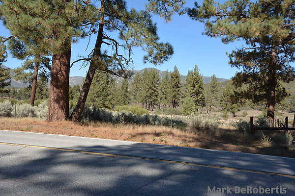 MDR 7241 - 3pm MDR 7241 - 3pm