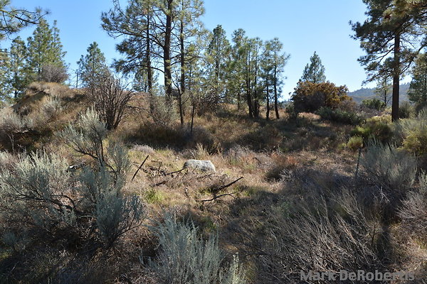 MDR 7185 - 3pm MDR 7185 - 3pm