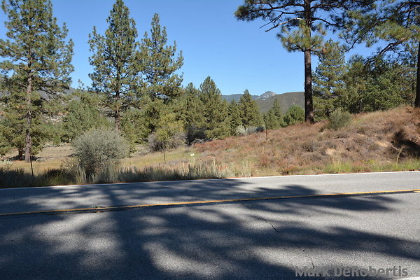 MDR 7183 - 35mm MDR 7183 - 35mm