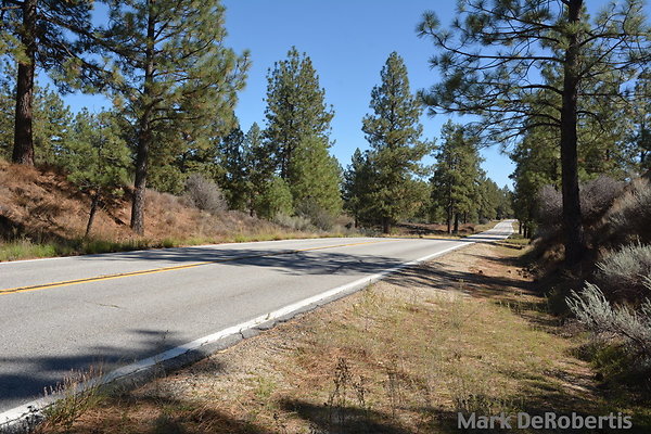 MDR 7184 - 120deg MDR 7184 - 120deg