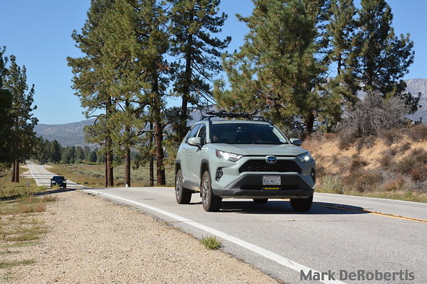 MDR 7226 x MDR 7226 x