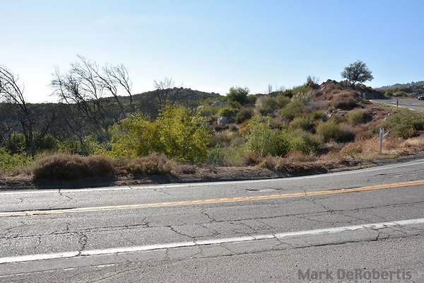 MDR 7529 - 430pm MDR 7529 - 430pm