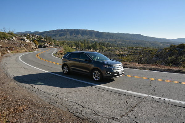 MDR 7601 x MDR 7601 x