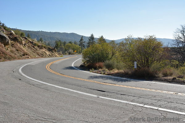 MDR 7528 - 220deg MDR 7528 - 220deg