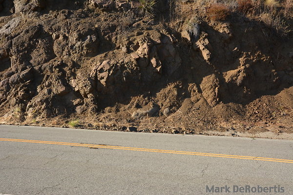 MDR 9454 - 5pm MDR 9454 - 5pm